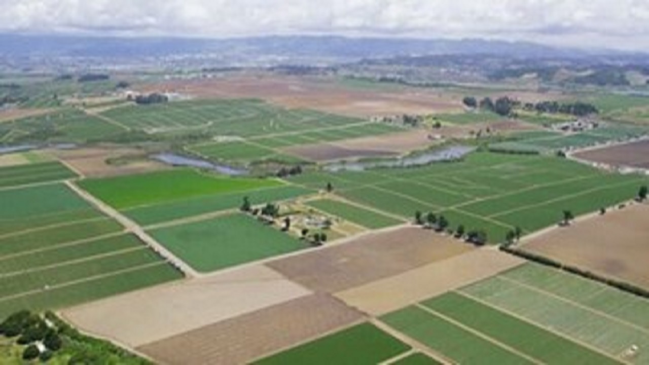 توافق اولیه با ۲ بانک‌چینی برای تامین اعتبار پروژه ۵۵۰ هزار هکتاری