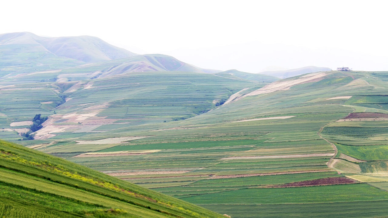 نمایی از طبیعت شهر زهرا در آخرین ماه از فصل تابستان + فیلم
