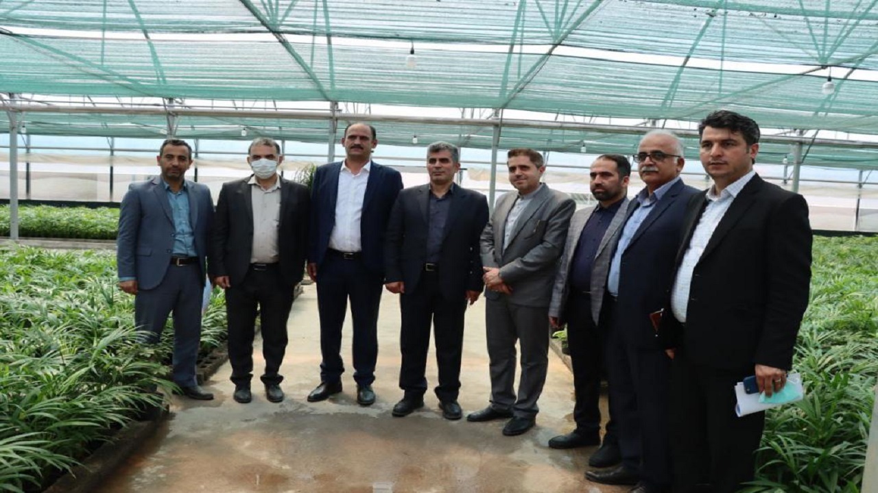 افتتاح یک گلخانه مدرن تولید گل و گیاه زینتی در رشت