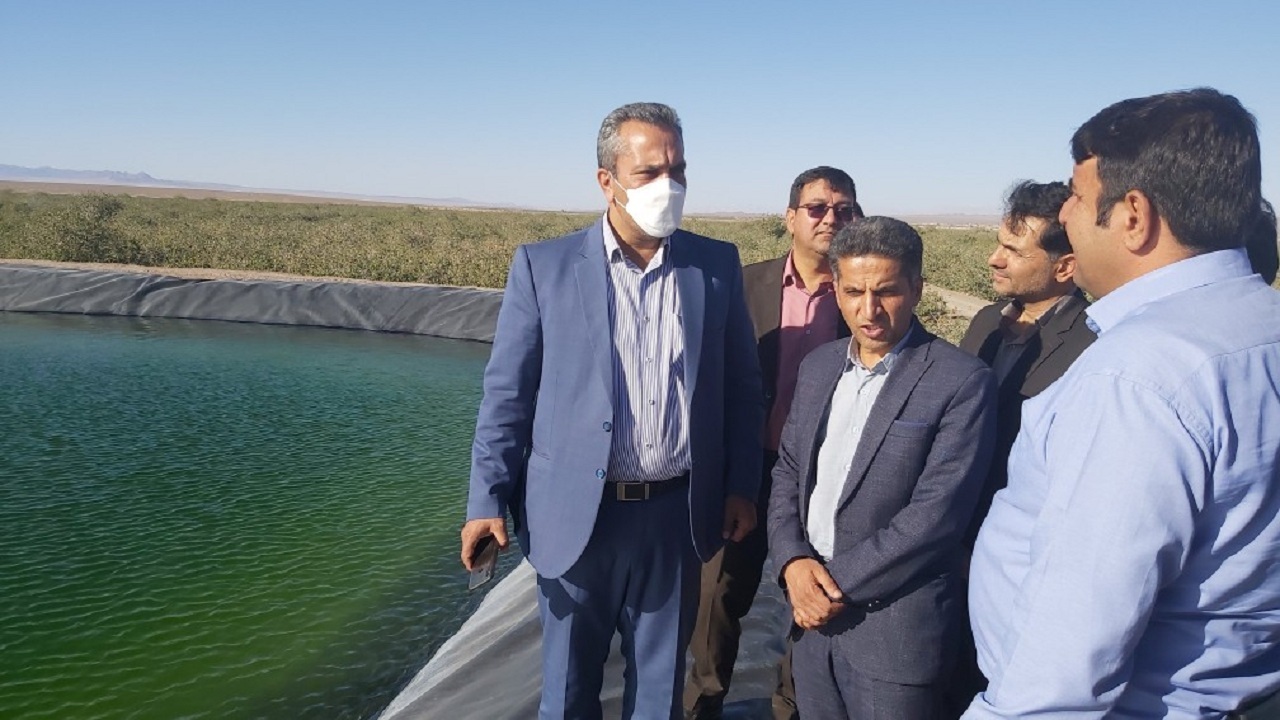 بهره برداری از دو طرح آبیاری تحت فشار در انار
