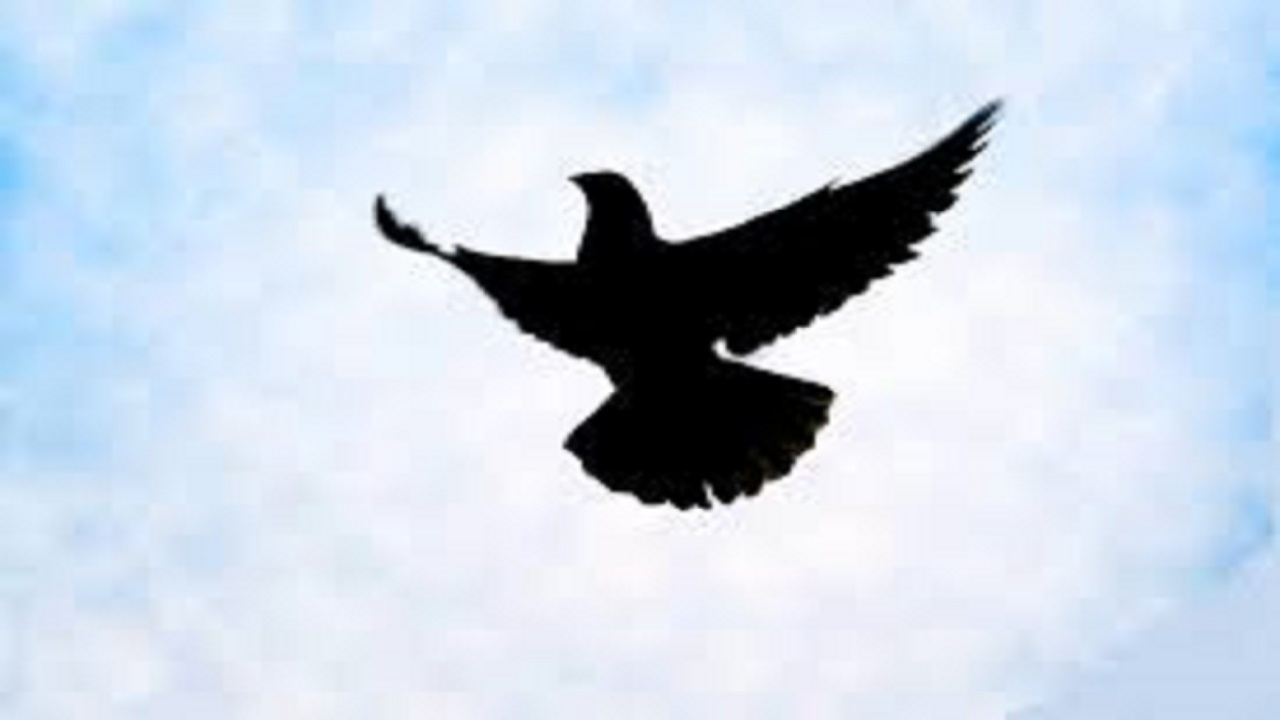 آزادی کشاورز یزدی با کمک بانوی نیکوکار
