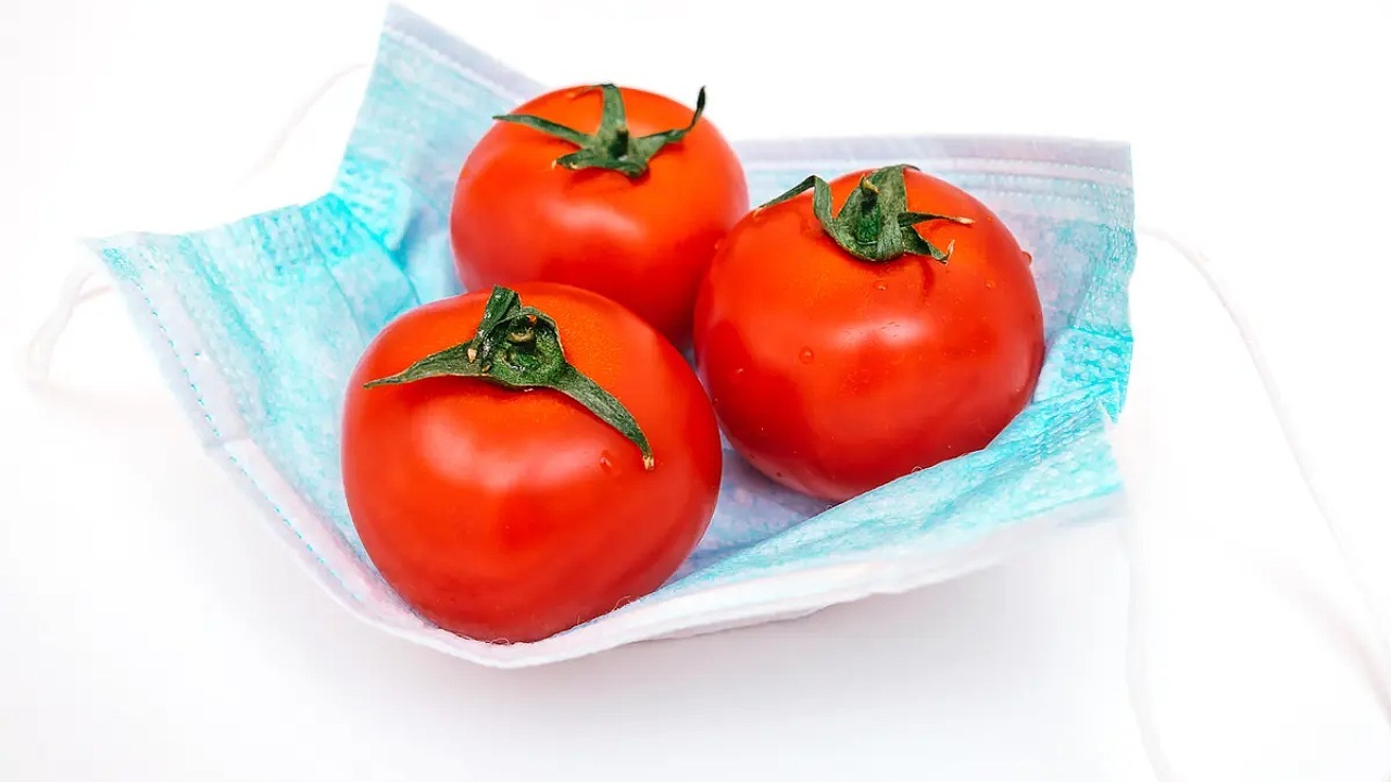 یک کلاغ چهل کلاغی به نام ویروس آنفولانزای گوجه فرنگی
