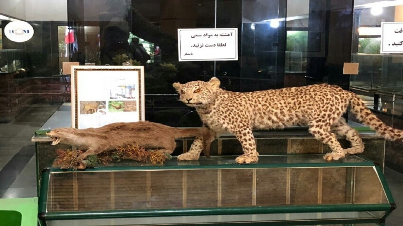 افتتاح دومین موزه تنوع زیستی گلستان در گرگان