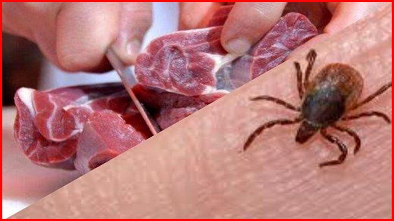 چگونه از تب کریمه کنگو پیشگیری کنیم؟