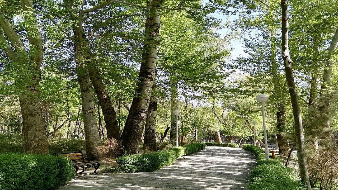 لزوم نصب روزشمار برای اجرای طرح پارک هاشمی نژاد
