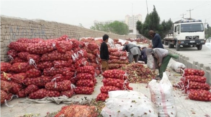 اسلام آباد مجوز واردات پیاز و گوجه‌فرنگی از افغانستان را صادر می‌کند