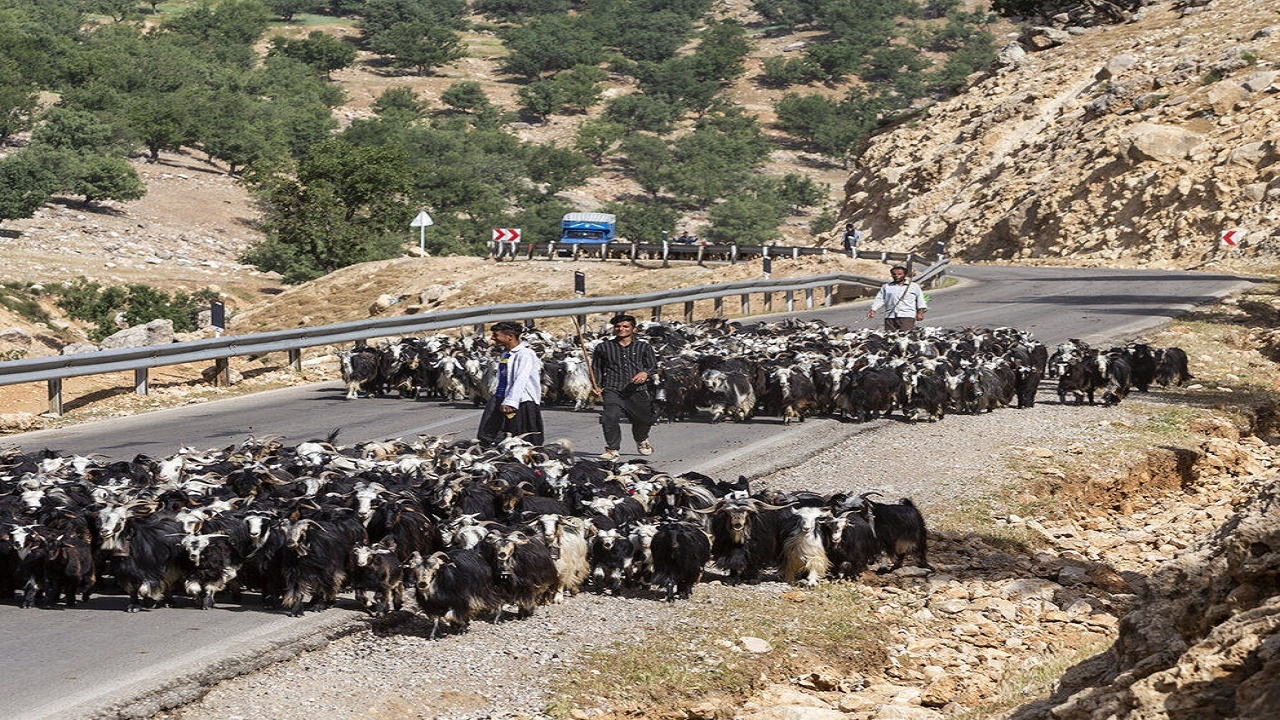 بهسازی سالانه ۱۵۰۰ کیلومتر جاده‌ عشایری در استان اصفهان