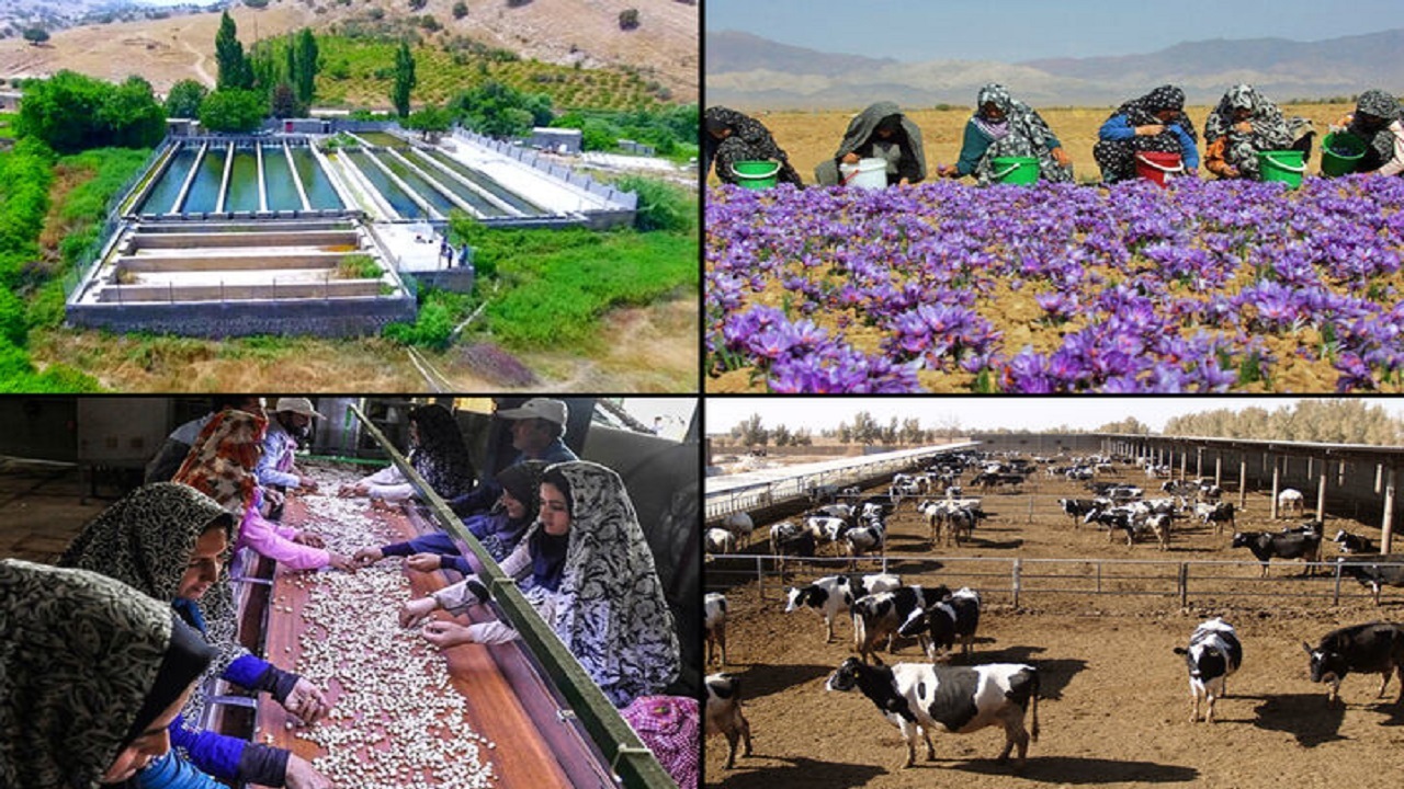 پرداخت ۳۰۴ میلیارد تومان تسهیلات اشتغال روستایی در استان قزوین