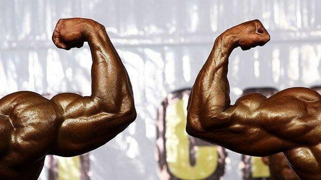 خطر بیخ گوش فدراسیون جهانی پرورش اندام