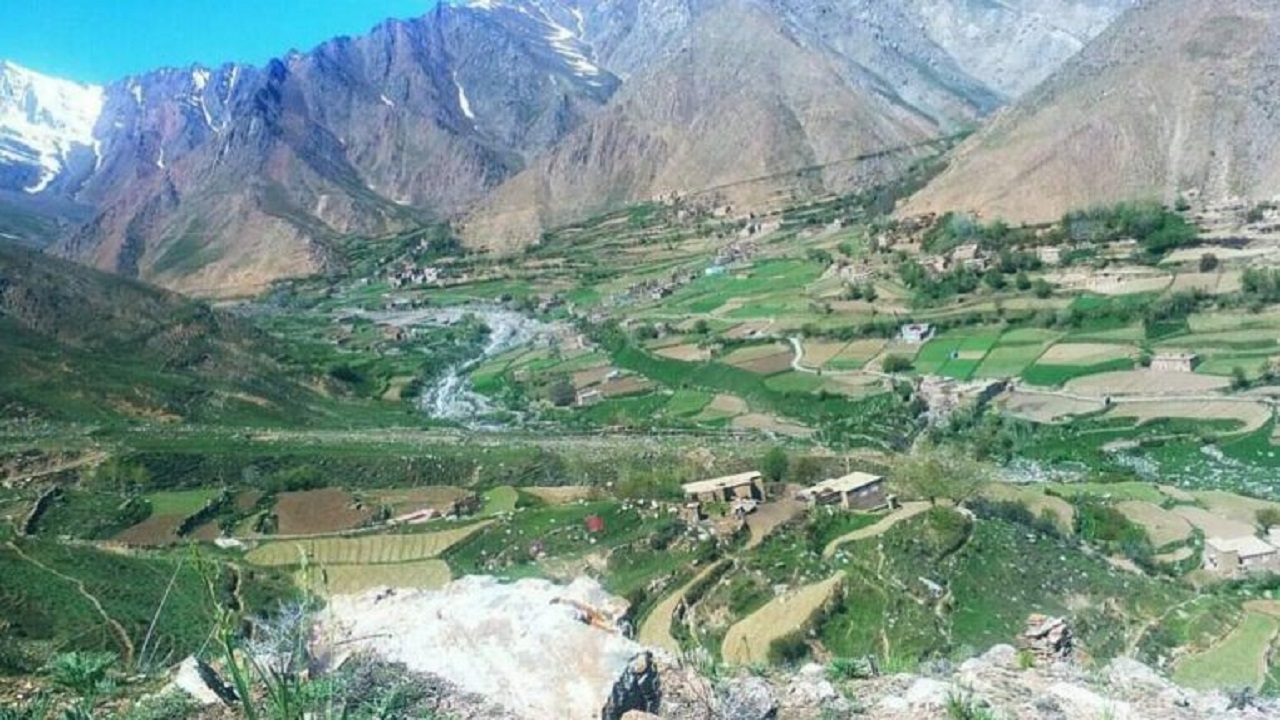 طالبان اقدام به بازرسی خانه به خانه در روستای شغه پنجشیر کرده اند