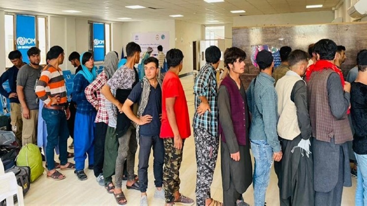 بیش از 10 هزار مهاجر در هفته گذشته به کشور بازگشته‌اند