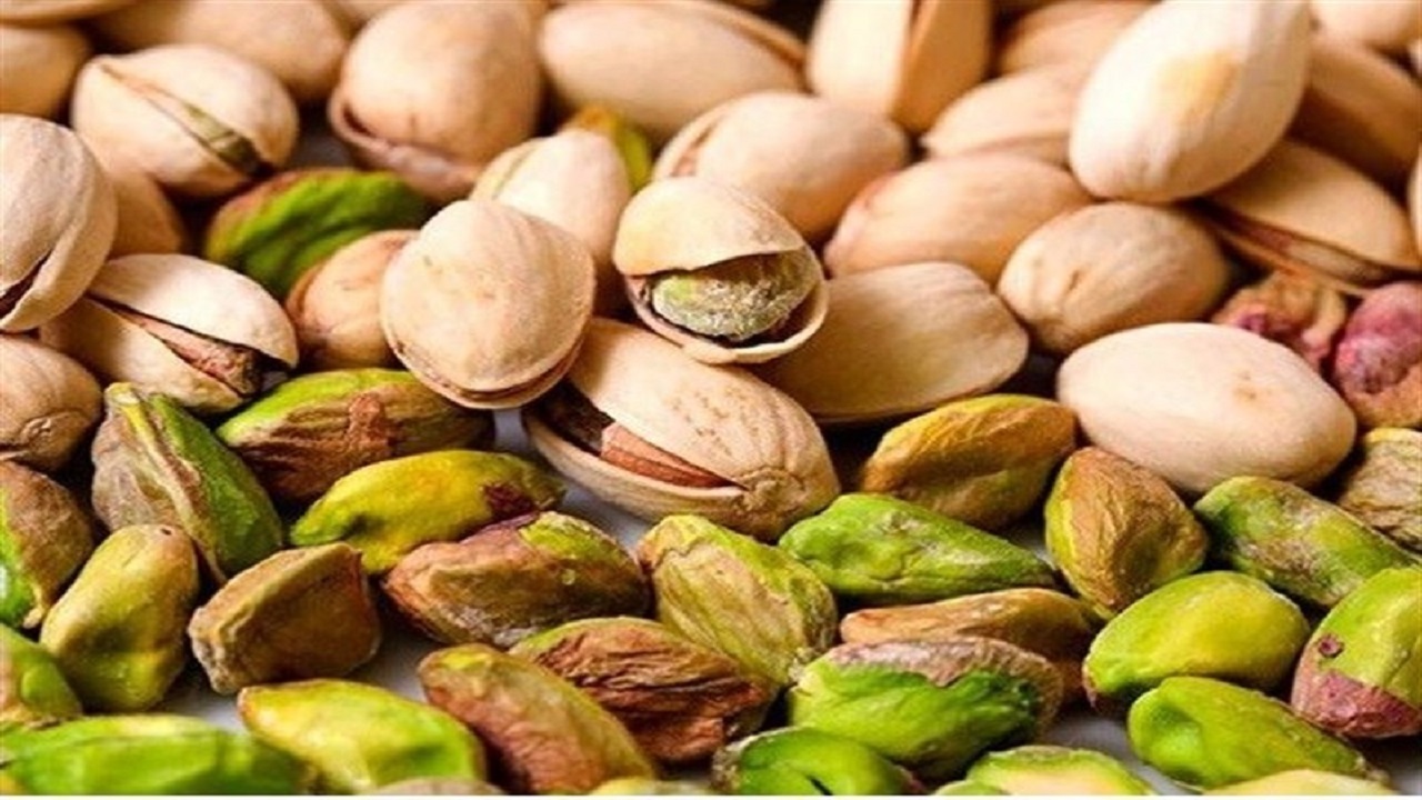 برداشت ۲ هزار تن پسته خشک توسط باغداران سبزوار
