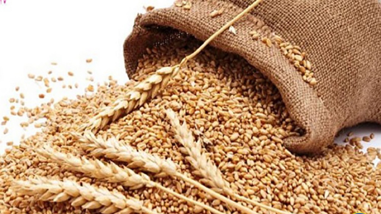 فعالیت ۲۴ مرکز نیکوکاری تخصصی زکات در اصفهان