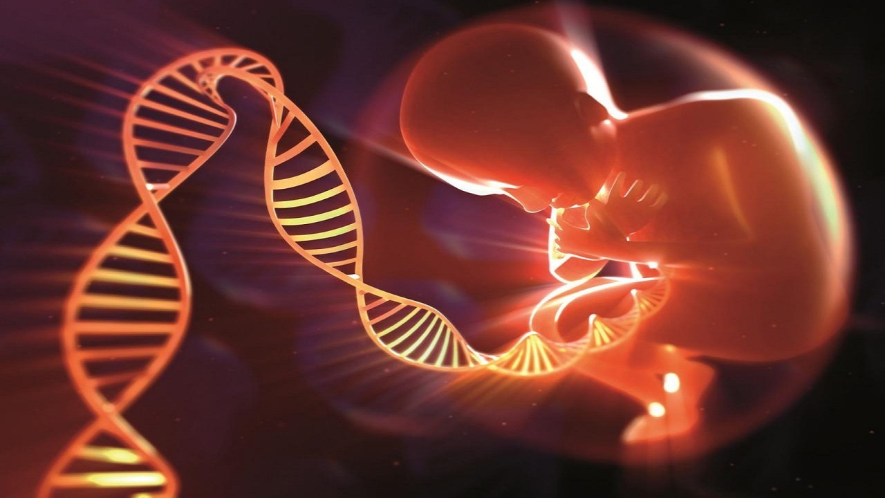 مشاوره ژنتیک، موثرترین راه پیشگیری از بروز معلولیت