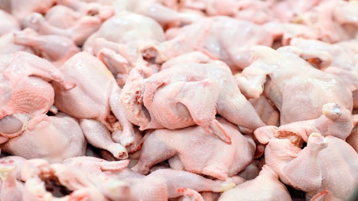 قیمت مصوب هر کیلوگرم مرغ در میادین میوه و تره‌بار چقدر است؟