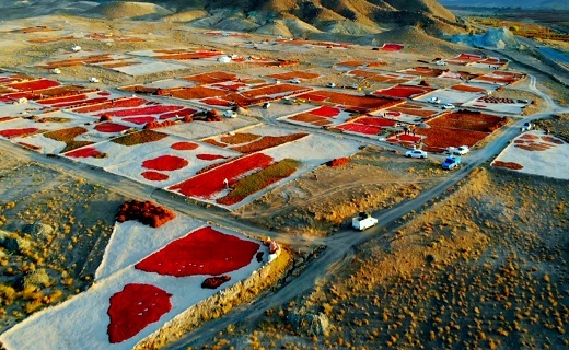 یاقوت سرخ یک گام به بورس و دانش بنیان شدن نزدیک می&zwnj;شود