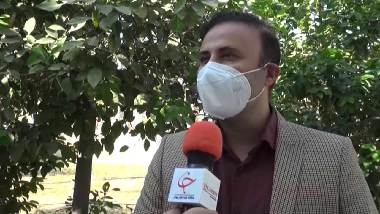 بیماران زمینه‌ای و سالخوردگان در اولویت تزریق واکسن آنفلوانزا هستند