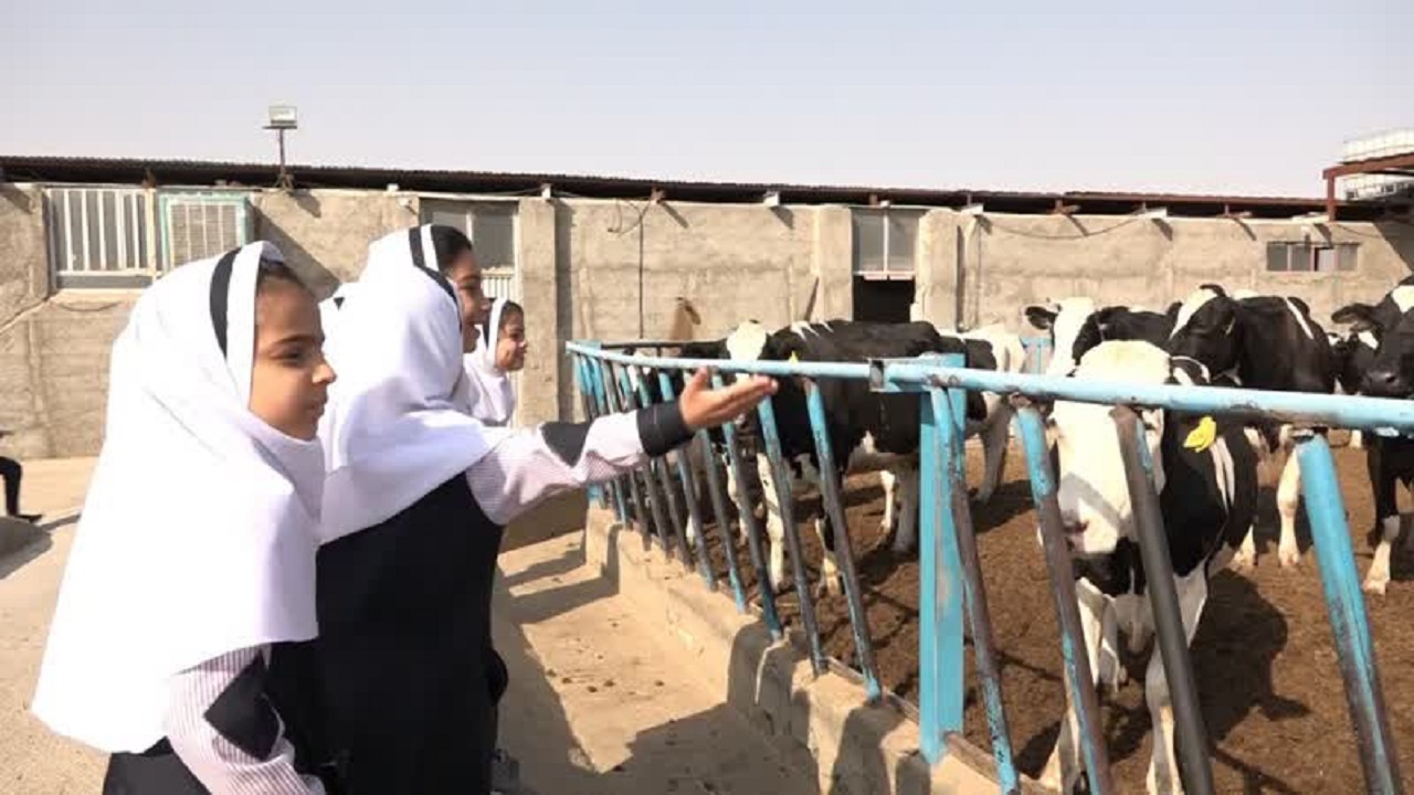 دانش آموزان بافقی همیار افتخاری دامپزشکی شدند