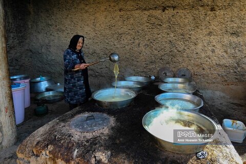 تصاویر دیدنی شهر جهانی انگور که در ایران است