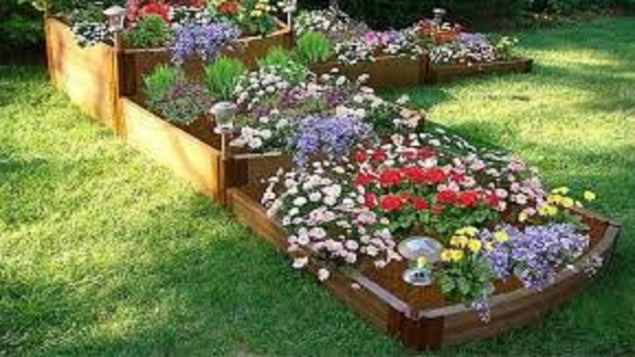 کاشت گل و گیاه در باغچه‌های مدارس منطقه ۹