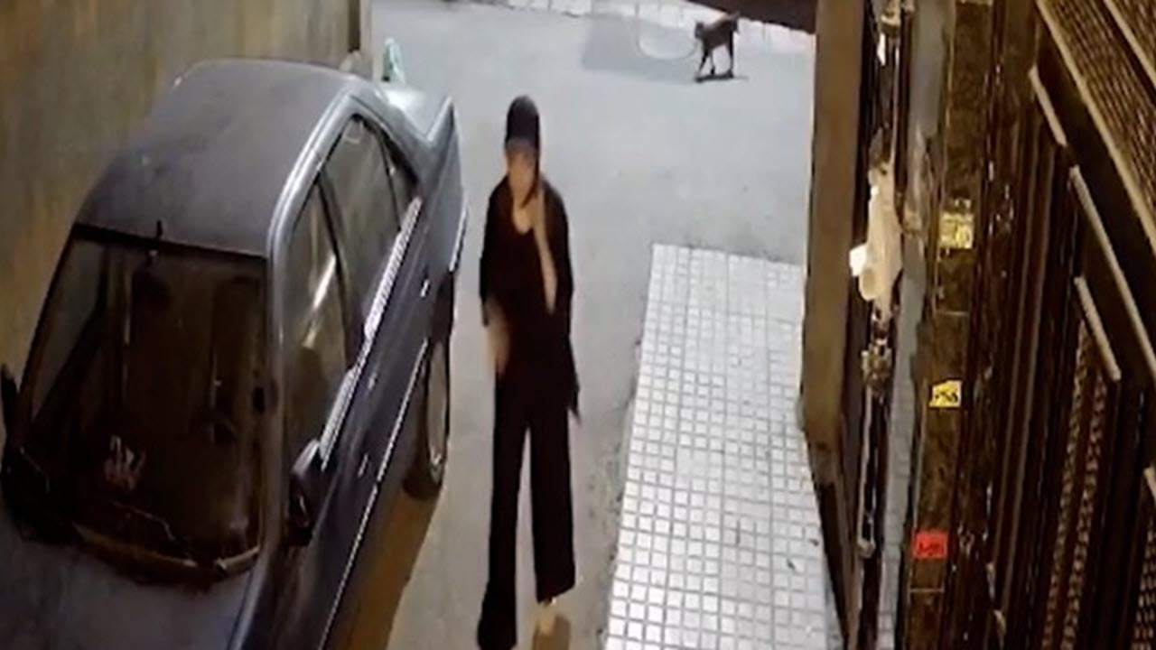 اطلاعیه سازمان بهشت زهرا در پی انتشار شایعات درباره مرحومه «نیکا شاکرمی»