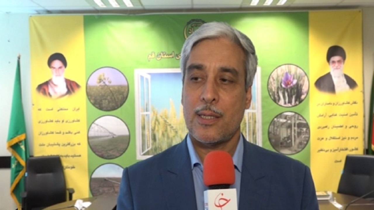آغاز کشت پاییزه در بیش از ۳۰ هزار هکتار از اراضی قم