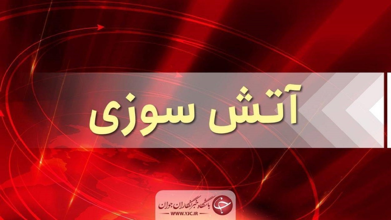 آتش سوزی در پارک ارم