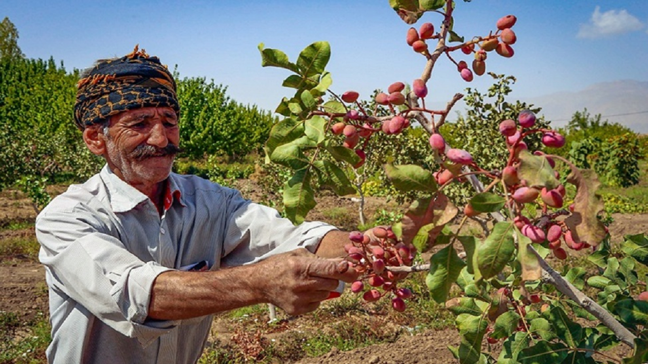 فاقد بیمه بودن  بیش از ۶۱ هزار روستایی یزدی