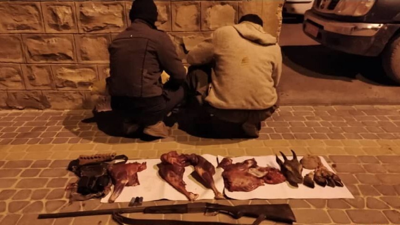 دستگیری بیش از ۵۰۰ متخلف حوزه شکار و صید در خراسان رضوی