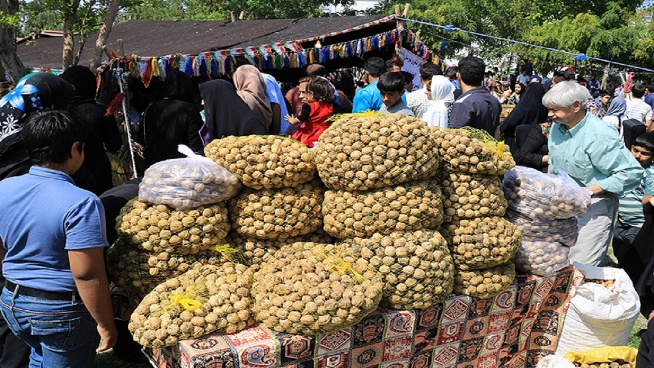 ملایر میزبان جشنواره گردو و بادام علی‌آباد دمق