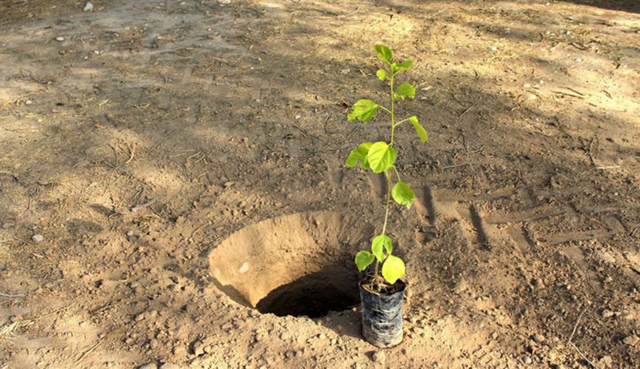 نیاز به اعتبار ۵۲۰ میلیارد تومانی برای مهار کانون‌های گرد و غبار