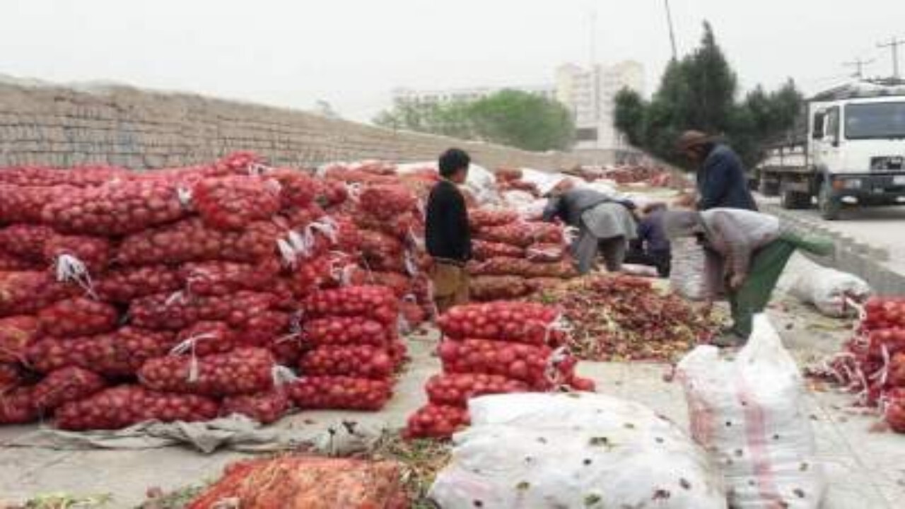روزانه بیش از ۳۰۰ کامیون گوجه و پیاز از افغانستان به پاکستان وارد می‌شود