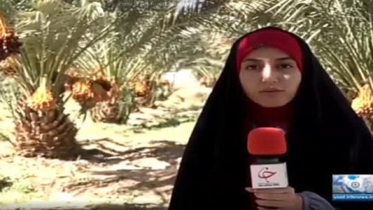 توسعه گردشگری بافق در سایه نخلستان‌ها