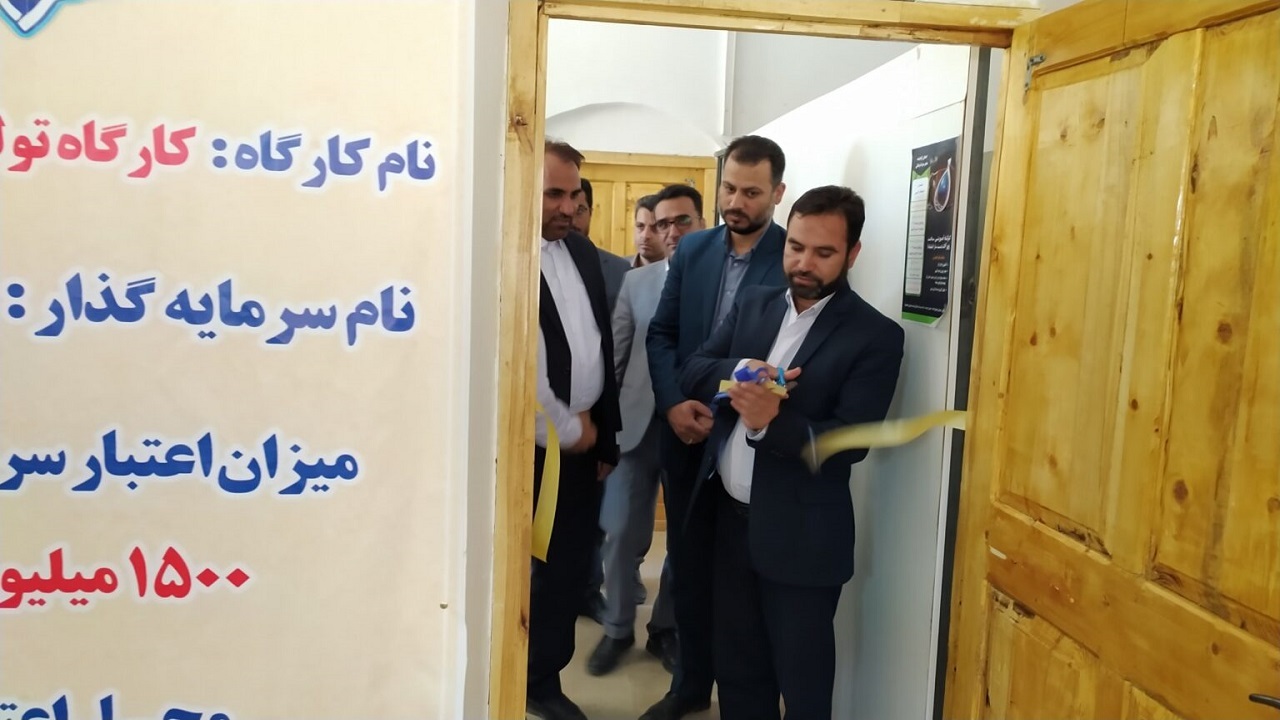 کارگاه‌های تولیدی و آموزشی در نهبندان افتتاح شد