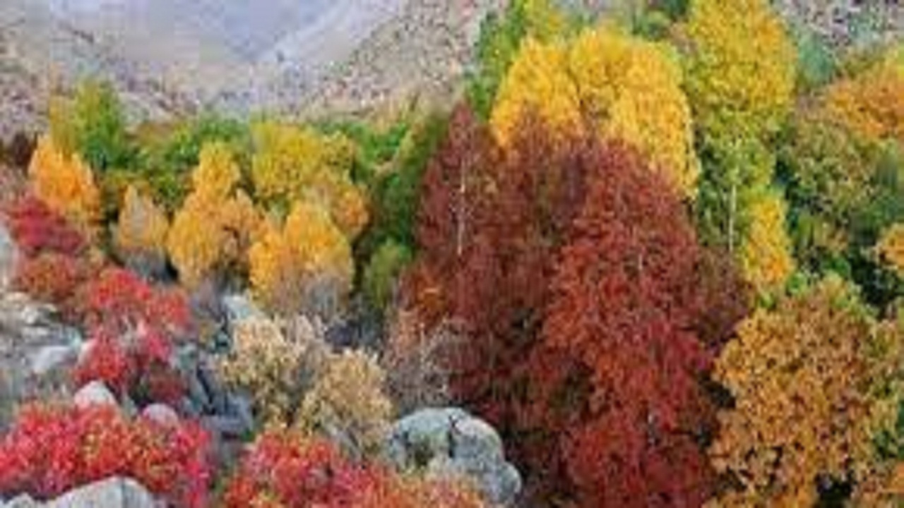 کاهش چهار درجه‌ای دمای هوای همدان