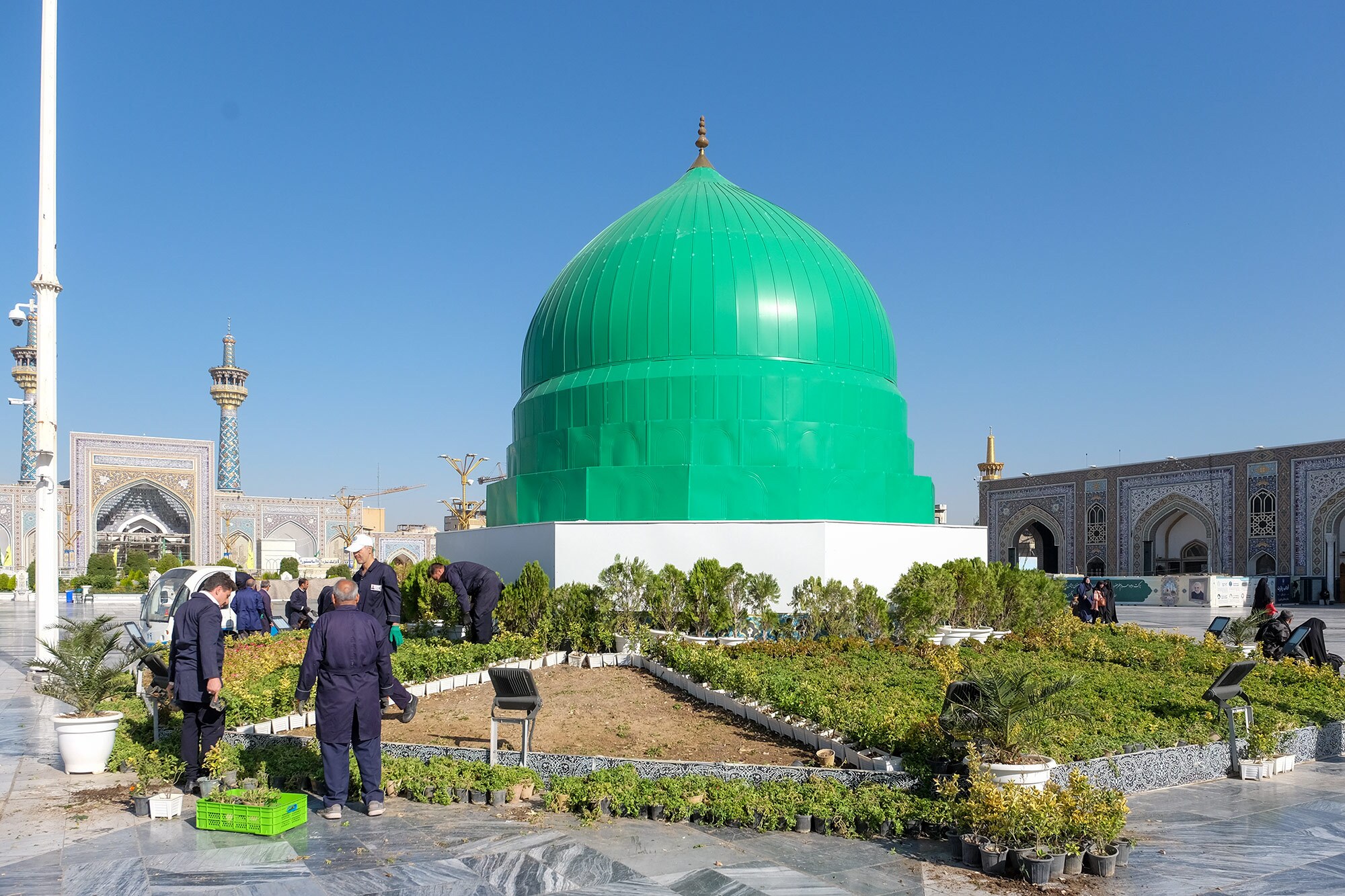 شاخه گل هایی که میهمان و زائر بارگاه ملکوتی حضرت رضا (ع) شدند شاخه گل هایی که میهمان و زائر بارگاه ملکوتی حضرت رضا (ع) شدند