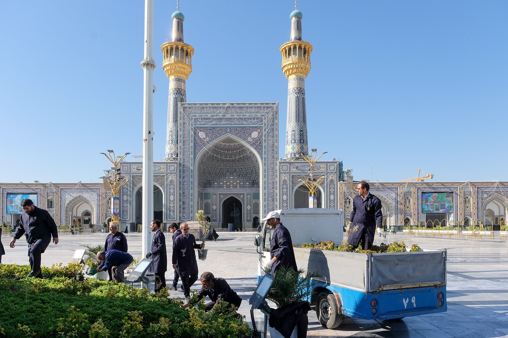 شاخه گل هایی که میهمان و زائر بارگاه ملکوتی حضرت رضا (ع) شدند شاخه گل هایی که میهمان و زائر بارگاه ملکوتی حضرت رضا (ع) شدند