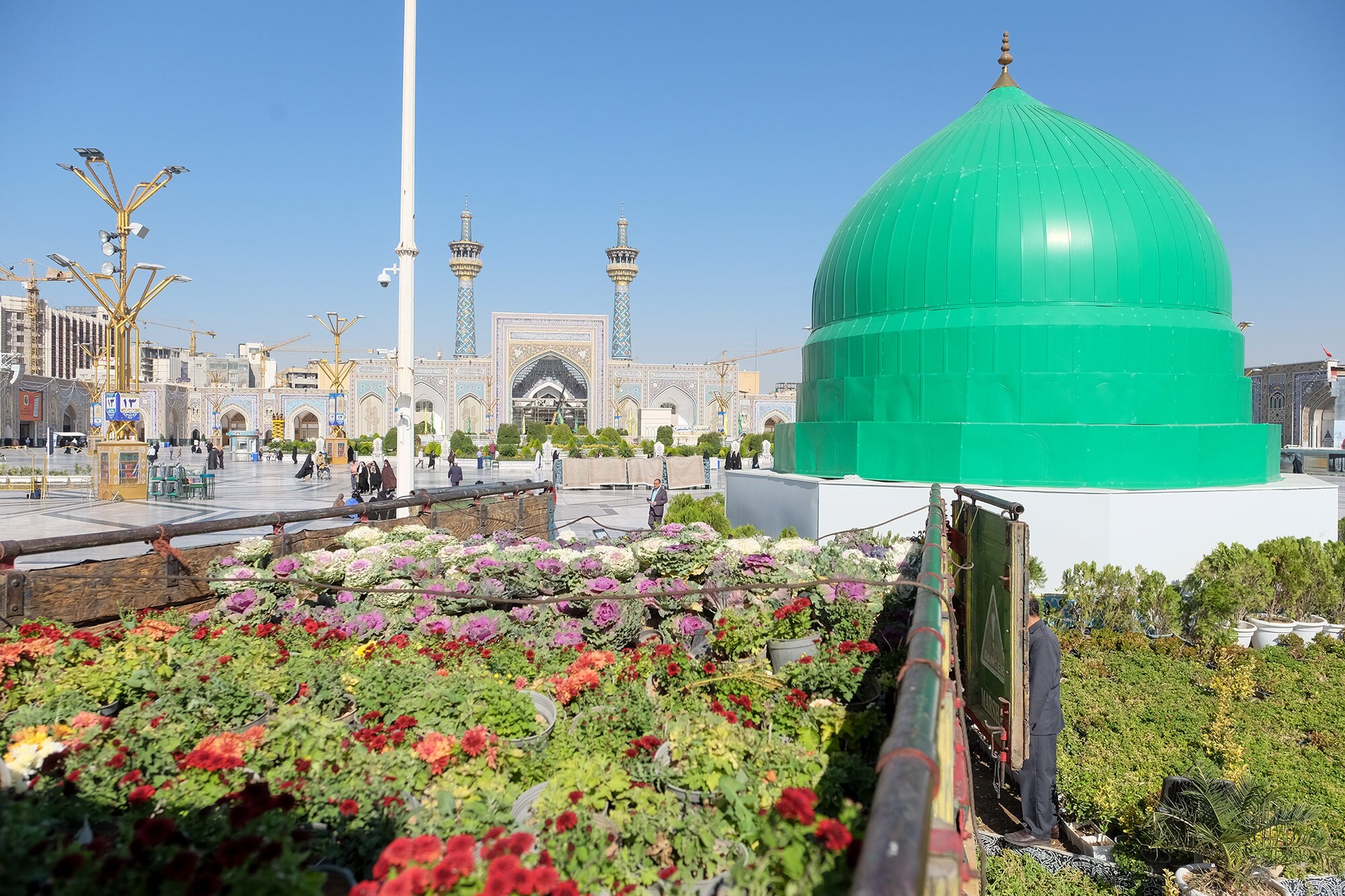 شاخه گل هایی که میهمان و زائر بارگاه ملکوتی حضرت رضا (ع) شدند شاخه گل هایی که میهمان و زائر بارگاه ملکوتی حضرت رضا (ع) شدند