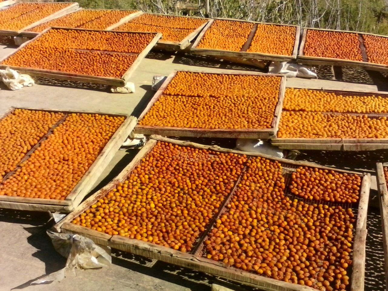عدم توجه مسئولین استانی و میراث فرهنگی به روستای تاریخی پیوه ژن