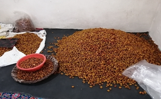 عدم توجه مسئولین استانی و میراث فرهنگی به روستای تاریخی پیوه ژن