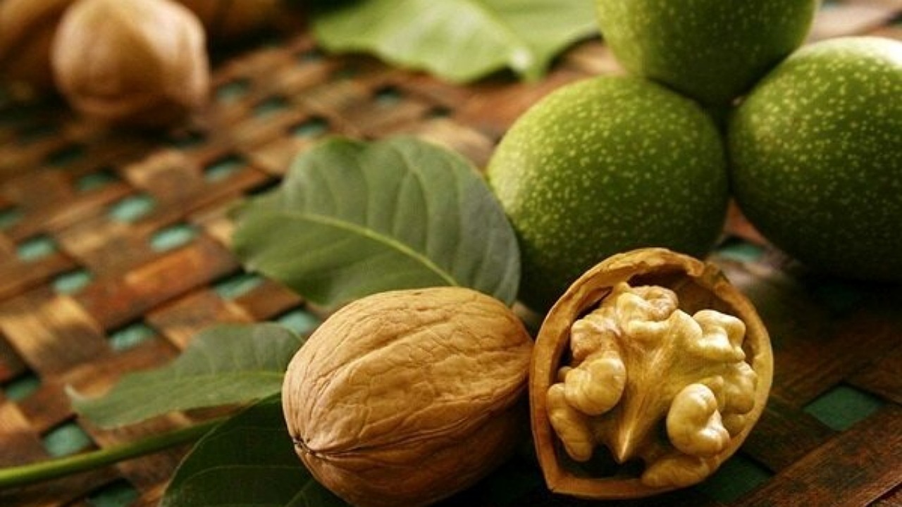 ارتباط مصرف گردو با کاهش خطر ابتلا به بیماری های قلبی عروقی