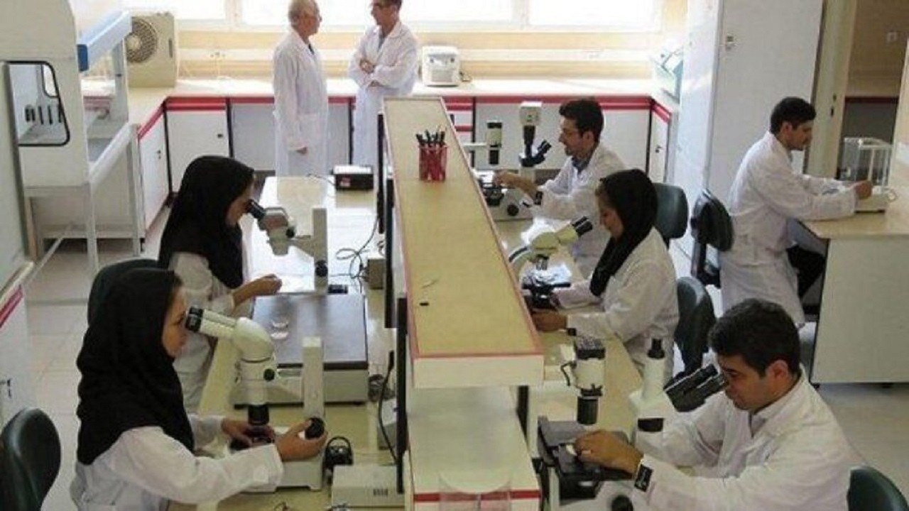 بررسی مشکلات شرکت های دانش بنیان در طرح "شهید احمدی روشن"