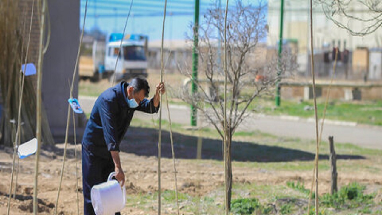 کاشت ۴۰۰ گونه گیاهی در باغ ایران‌ زاد در اصفهان