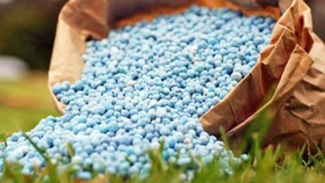 بیش از ۲۶ هزار تن کود شیمیایی دولتی در گلستان موجود است