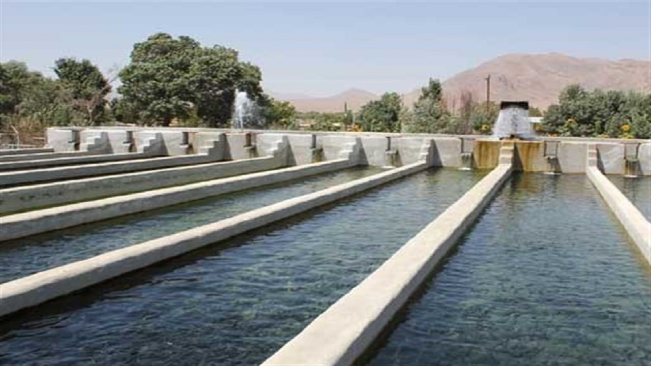 درآمد ۵۳ میلیارد تومانی خراسان جنوبی از پرورش ماهی