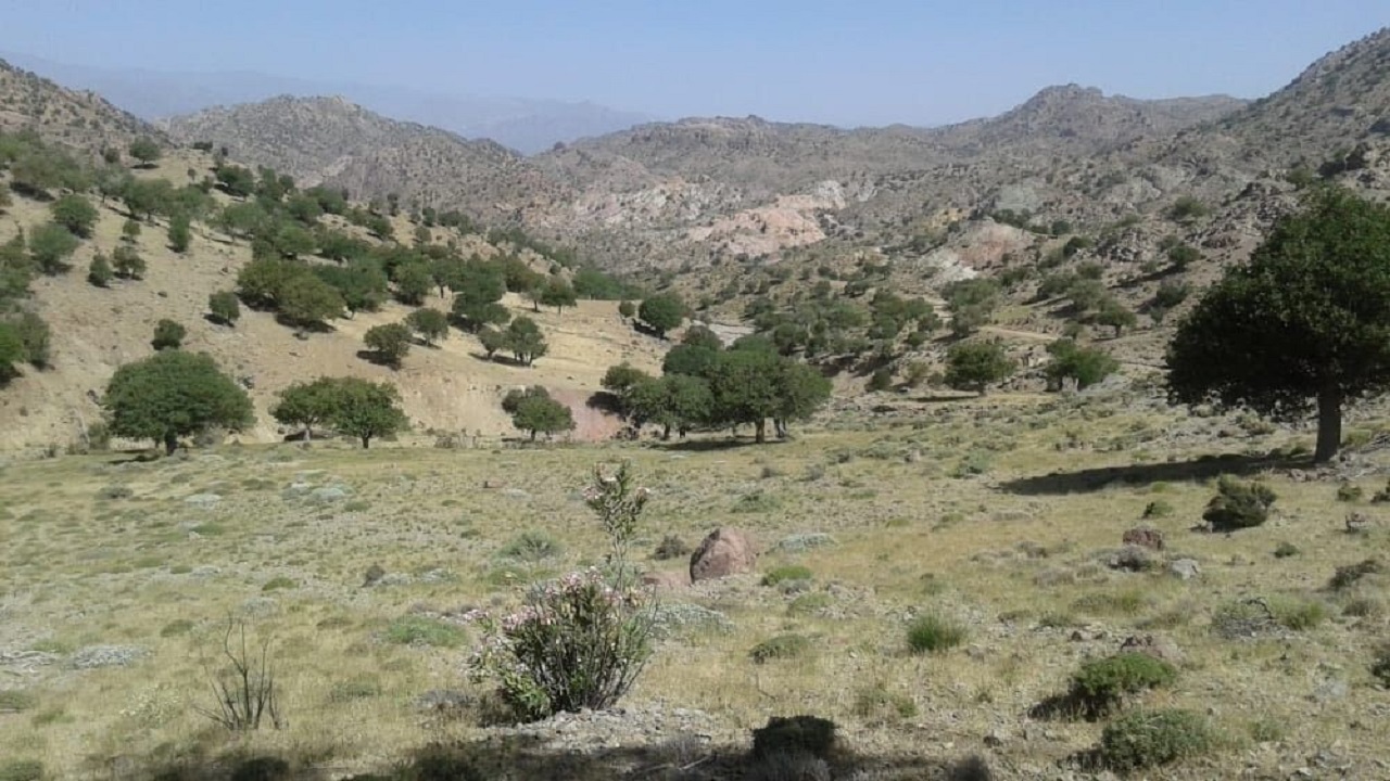 ۷۰ نفر در ۱۲۳ پرونده زمین‌خواری استان سمنان دستگیر شدند