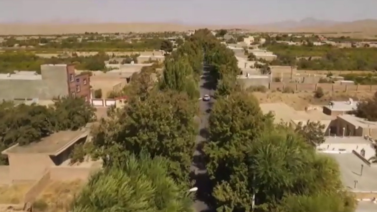 خاطرات سبز گذشته در حال زرد شدن است
