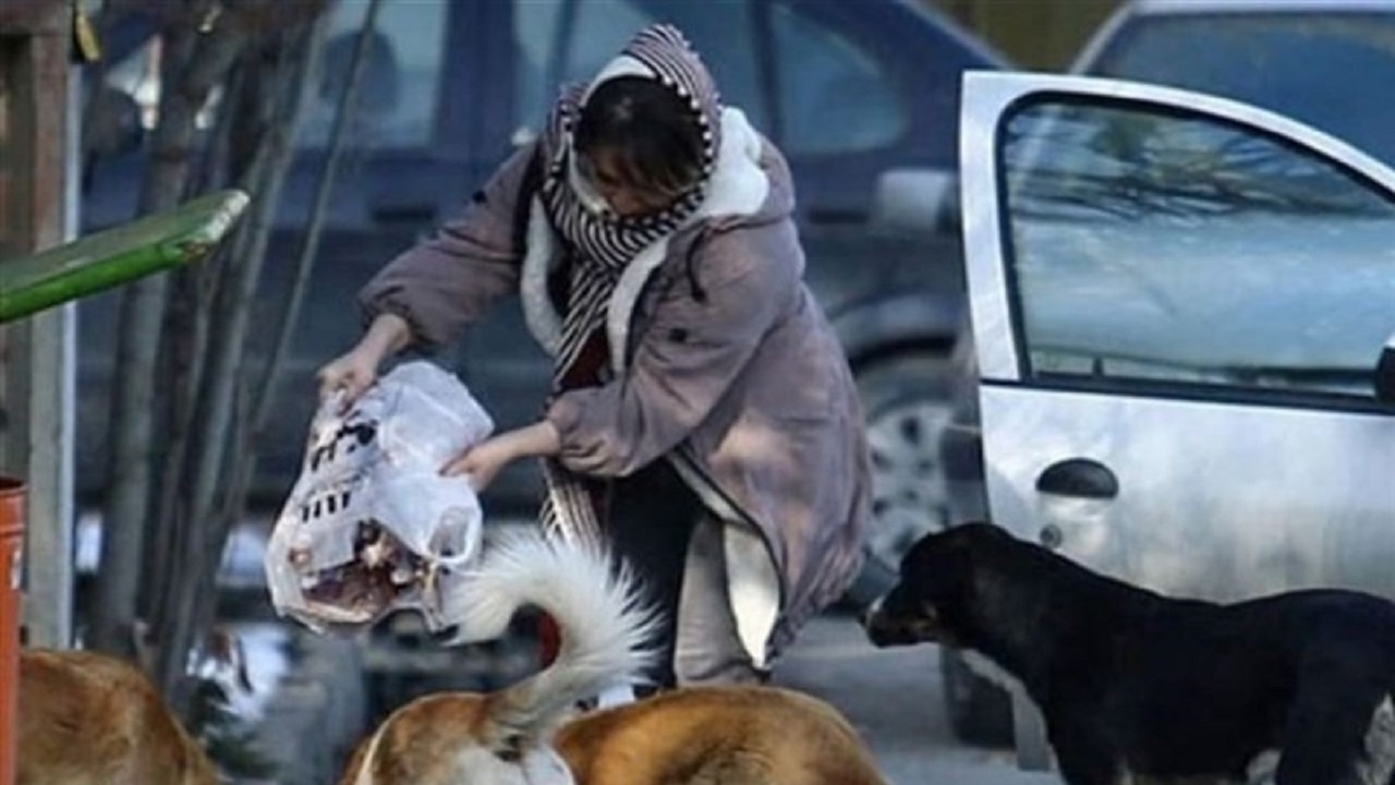 سگ‌های ولگرد بعد از واکسیناسیون نیز خطرناک هستند