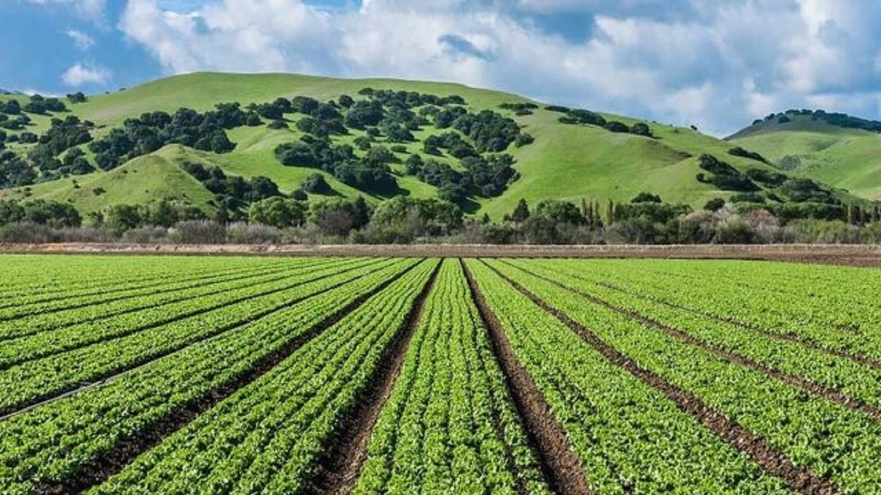 تصویب طرح اصلاح الگوی کشت در شورای عالی آب
