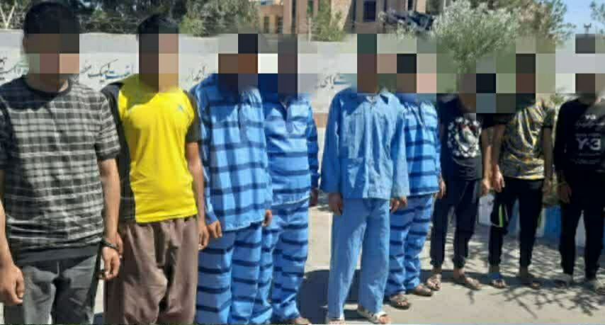 ۲۲ سارق در انار دستگیر شدند